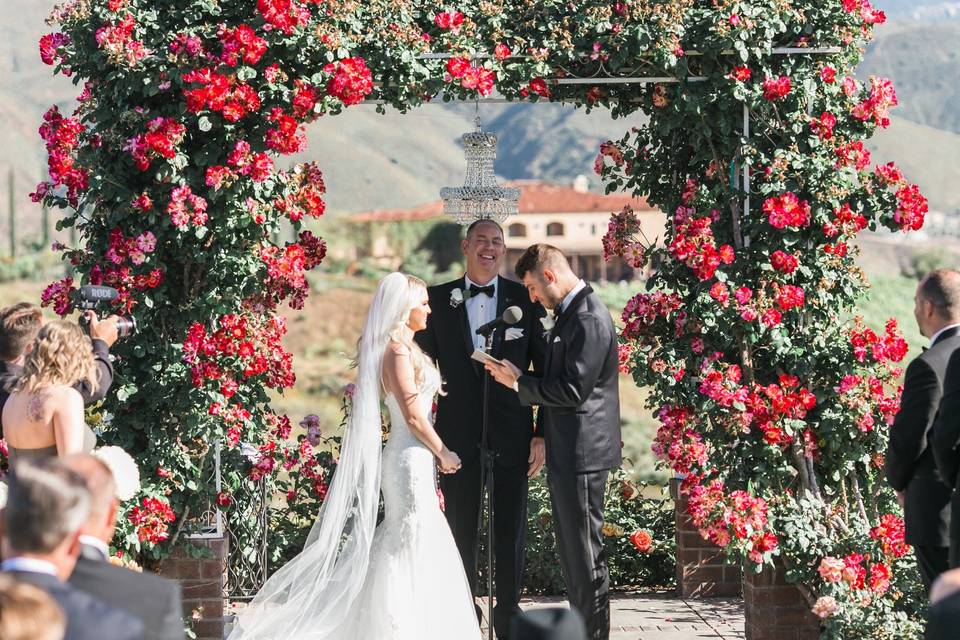 Rose garden arbor