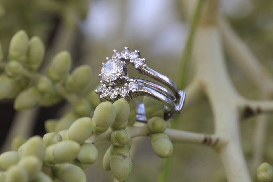 Ring on a branch