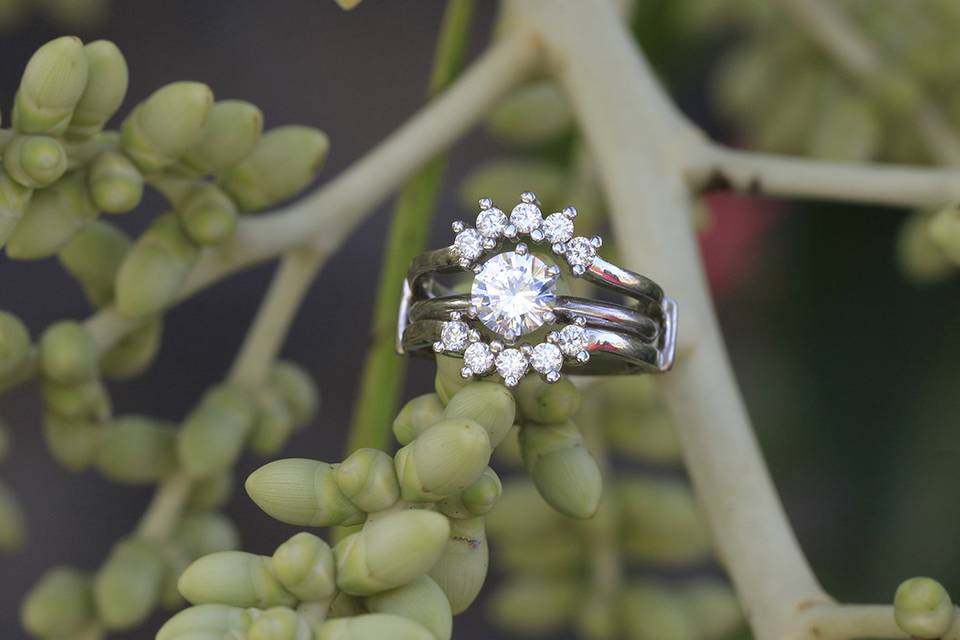 Wedding ring display