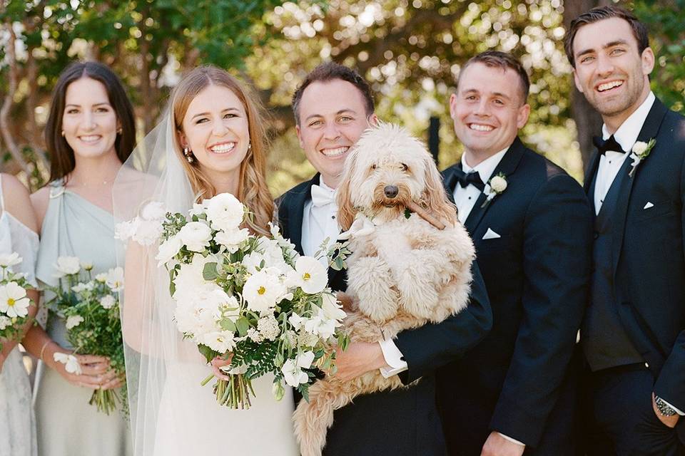 Dogs included