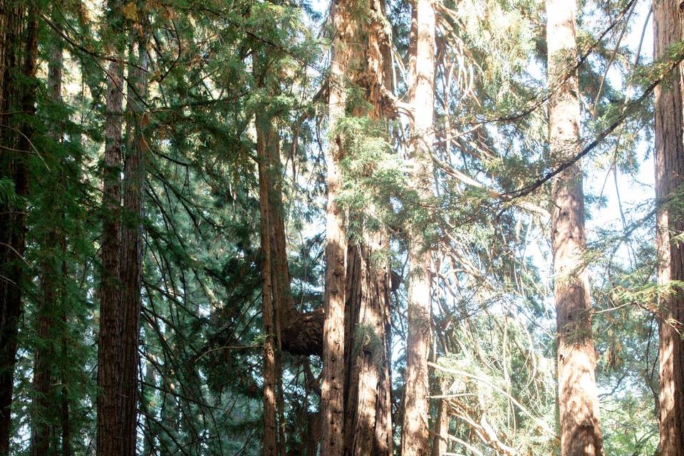 Santa Lucia Preserve