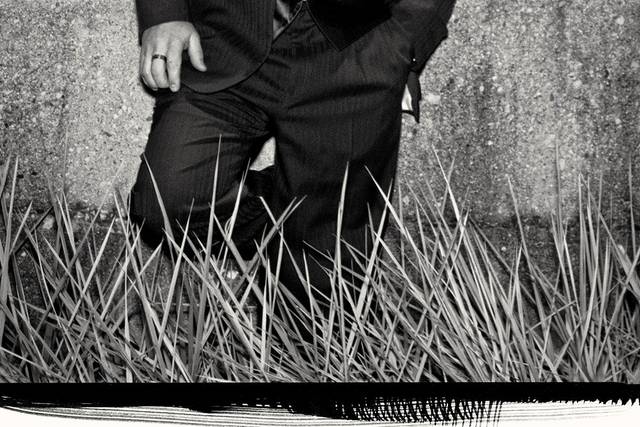 Carole Meeter Photography