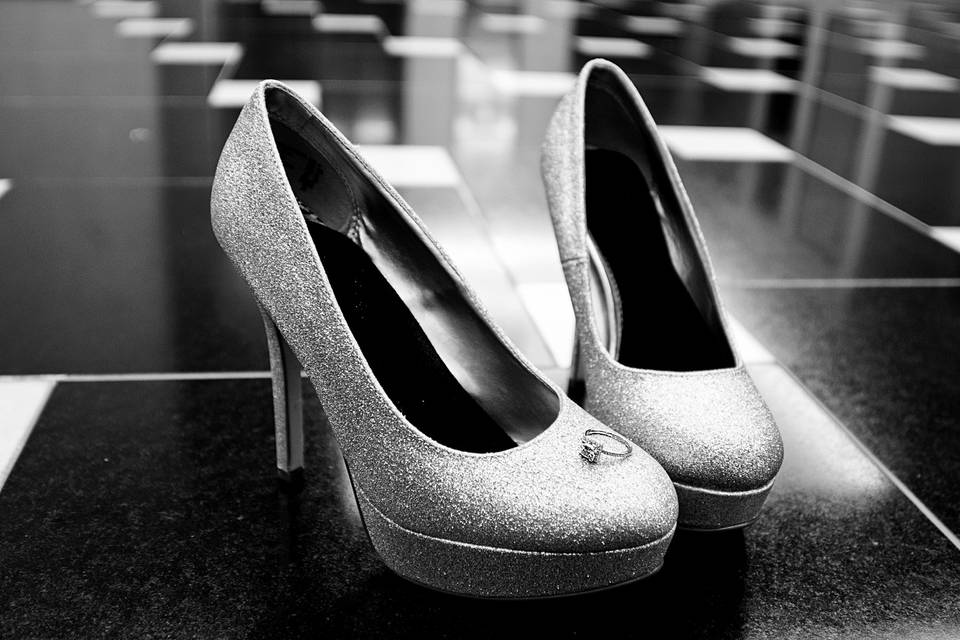 Carole Meeter Photography