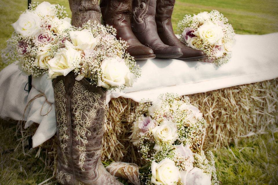 Carole Meeter Photography
