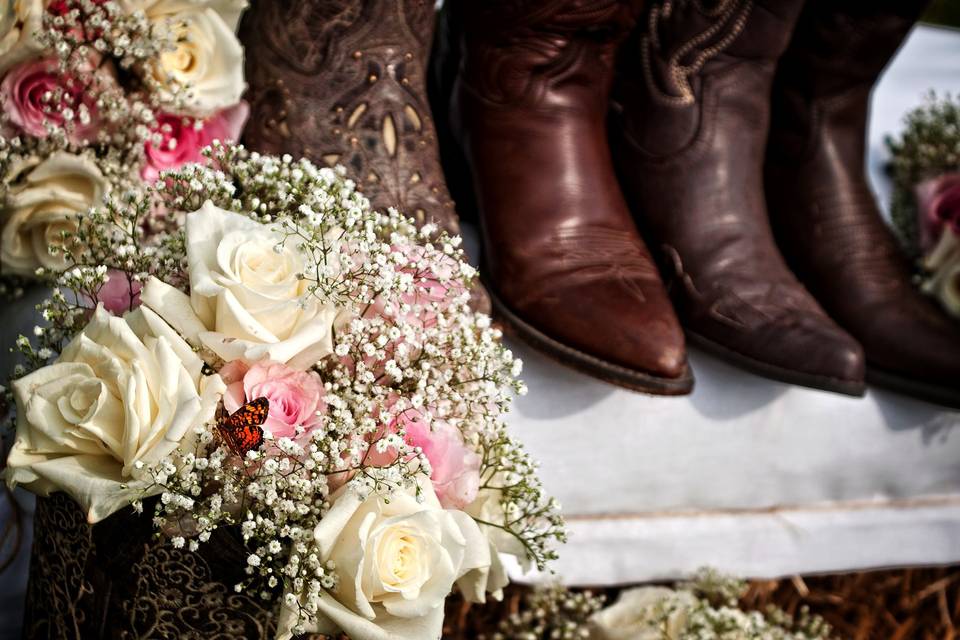 Carole Meeter Photography