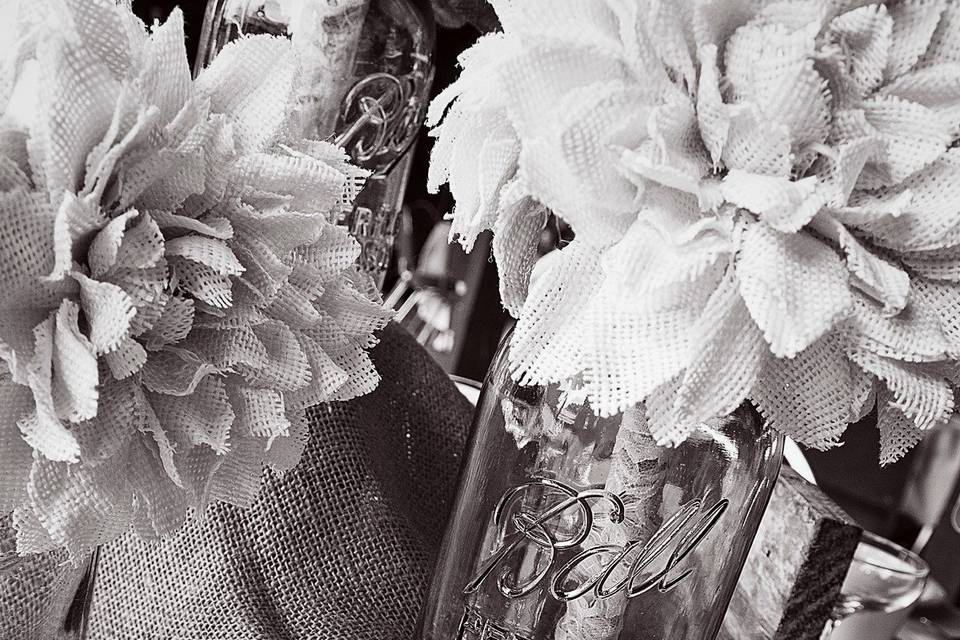 Carole Meeter Photography