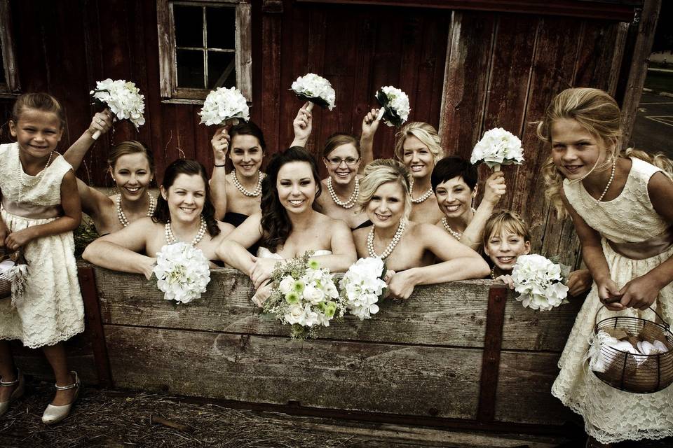 Carole Meeter Photography