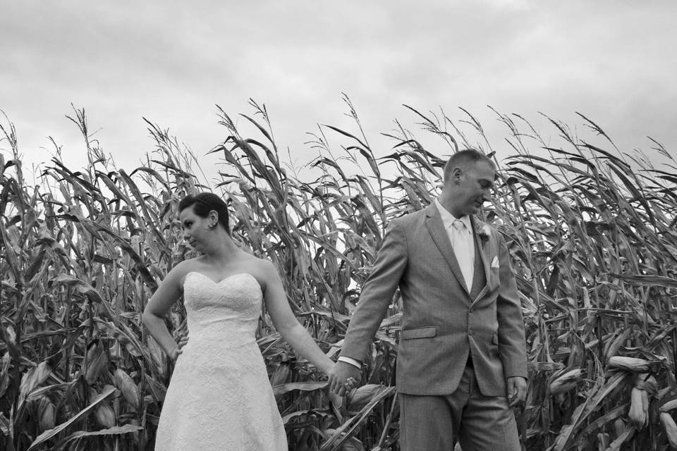 Carole Meeter Photography
