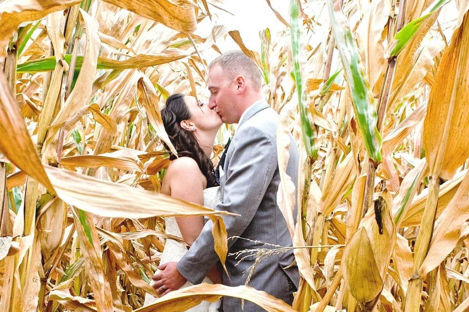 Carole Meeter Photography