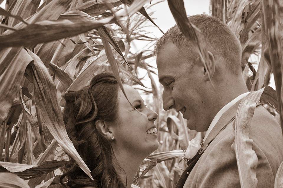 Carole Meeter Photography