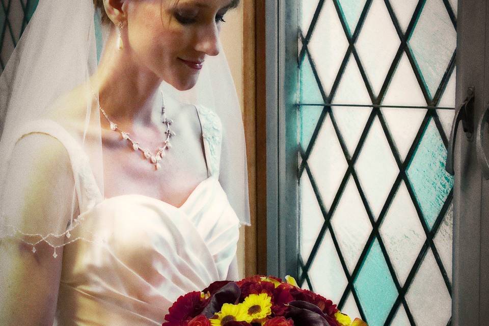 Carole Meeter Photography