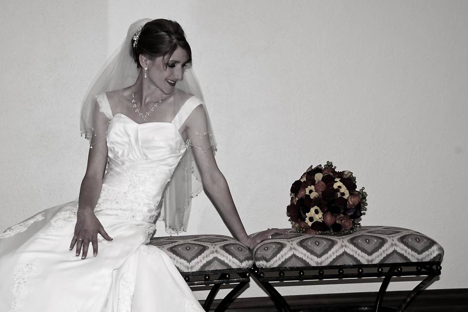 Carole Meeter Photography