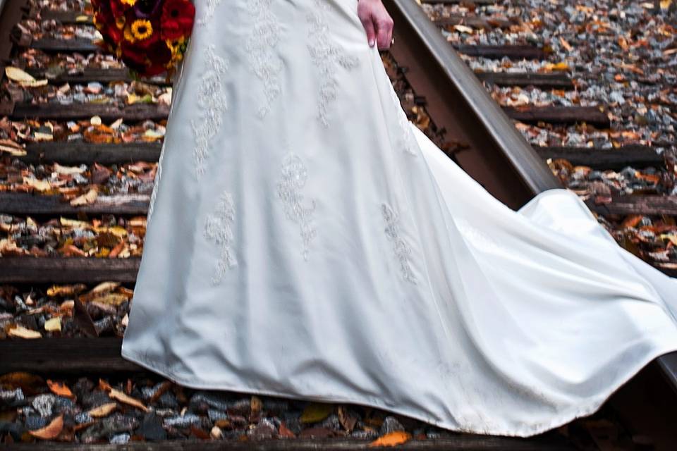 Carole Meeter Photography