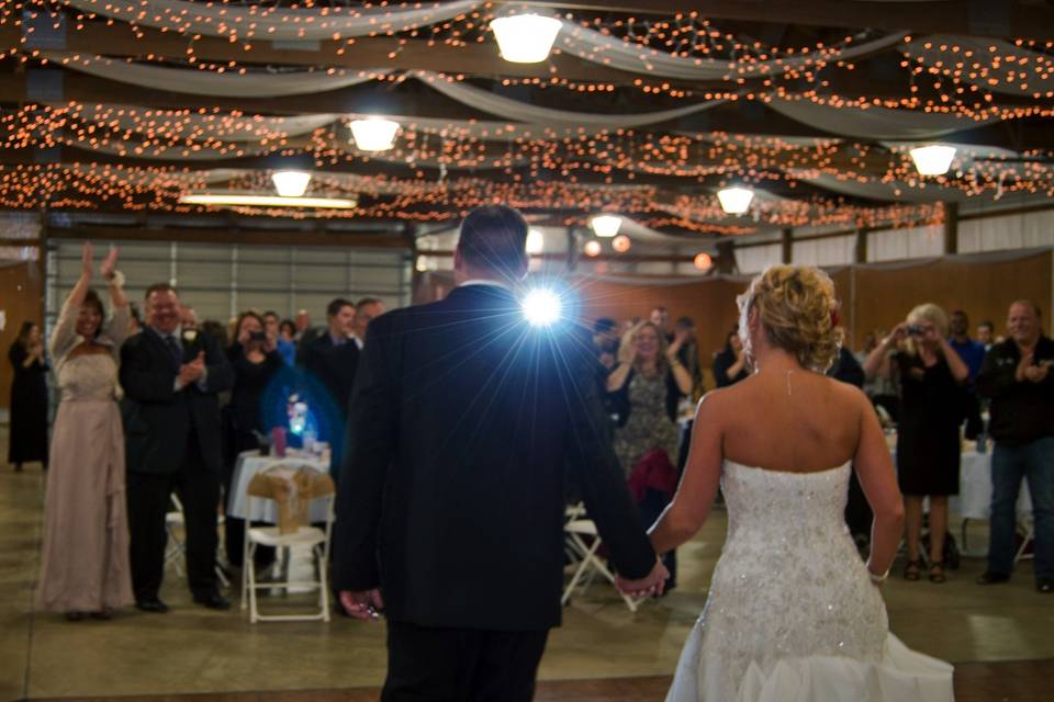 Carole Meeter Photography