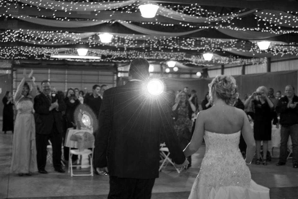 Carole Meeter Photography