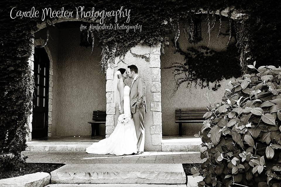 Carole Meeter Photography