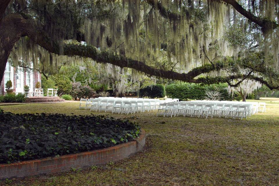 Ceremony set up~oak tree