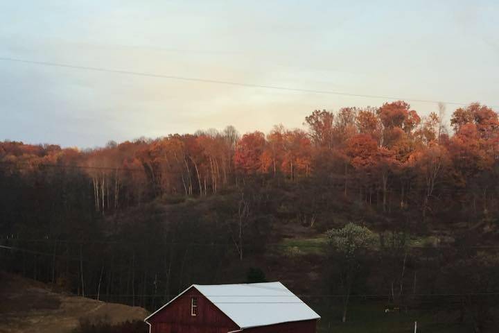 Z Barn in the Valley