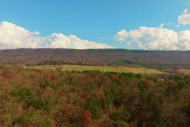 This looks so peaceful.