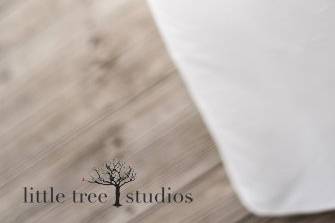 Little Tree Studios