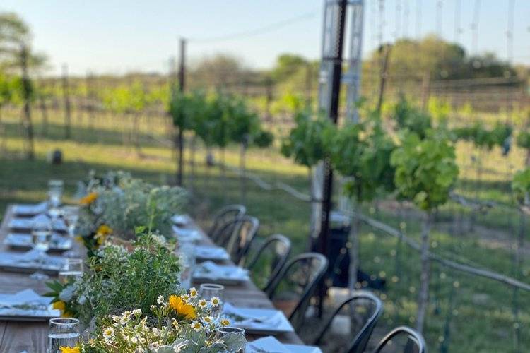 Between the vines dinner setup