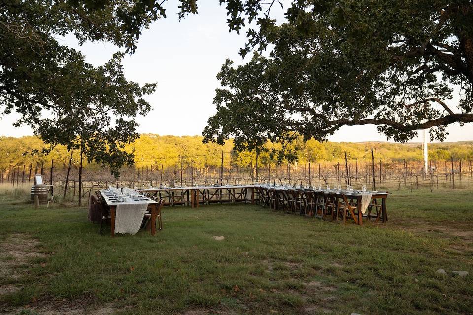 Dine amongst the vines