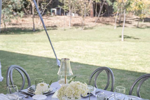 Kenia Wedding Planner