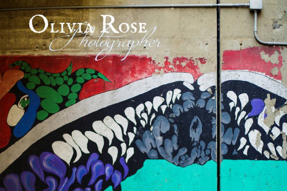 Olivia Rose - Photographer