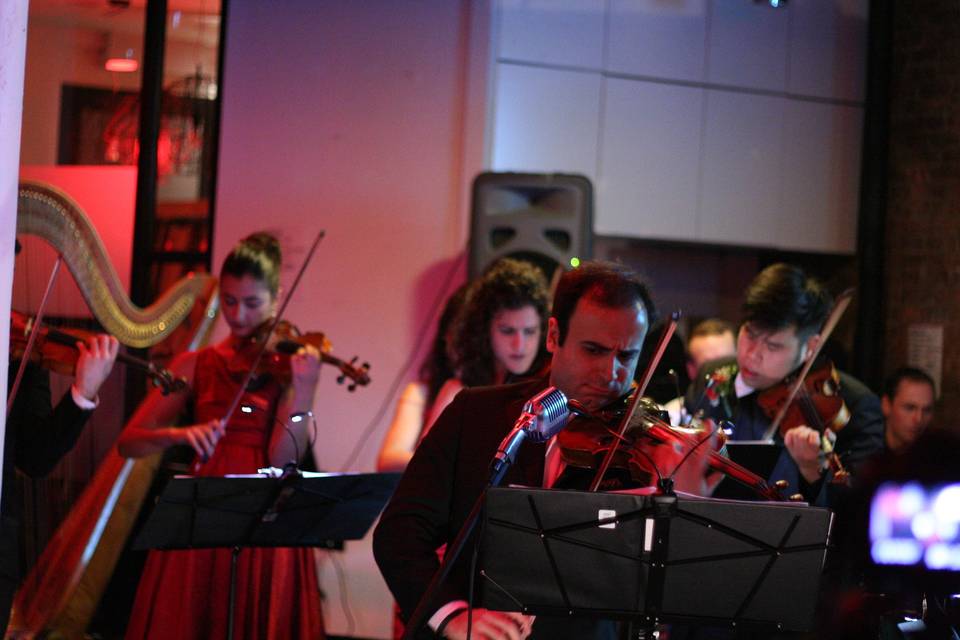 Highline String Quartet