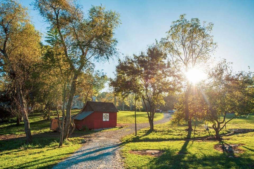 Red little house