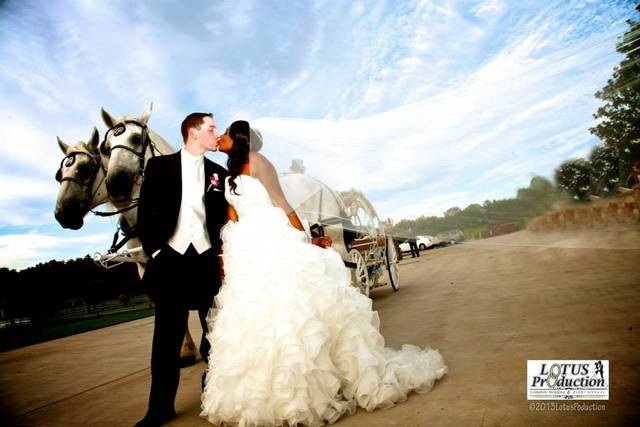 Morais Vineyards & Winery