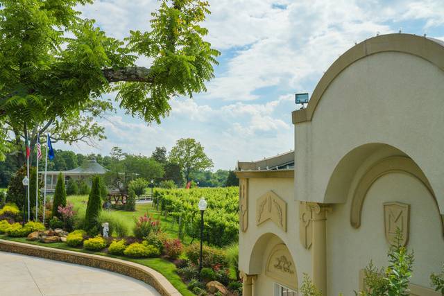 Morais Vineyards & Winery