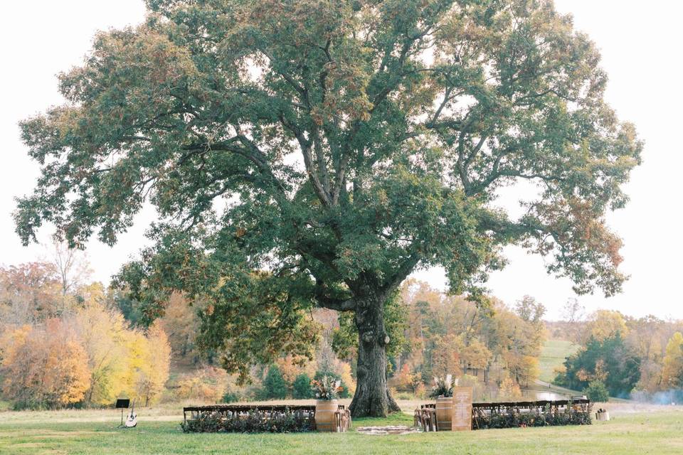 The Little Tree Fall Wedding