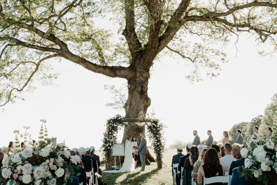 Ceremony at The Little Tree