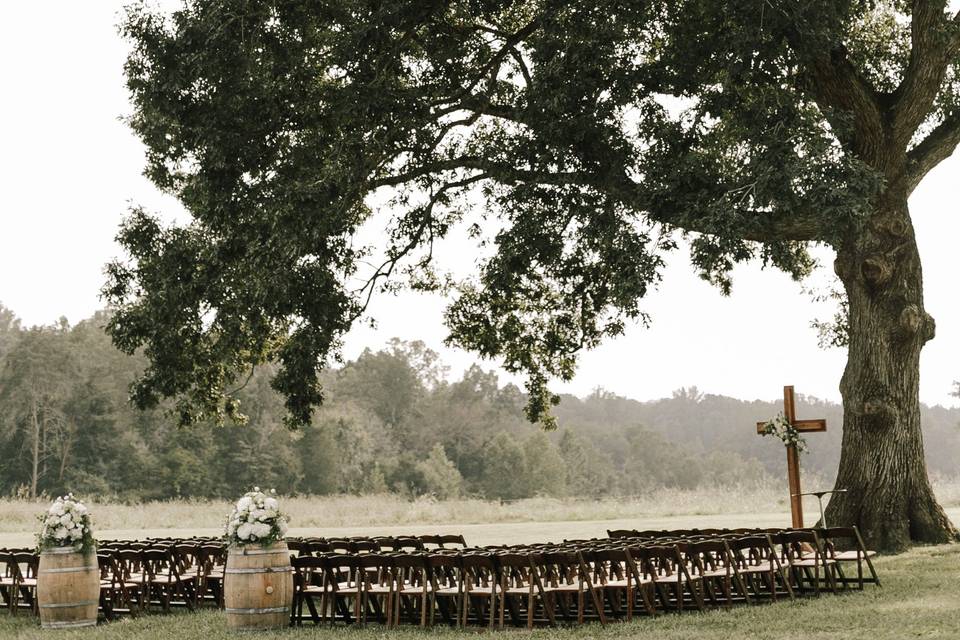 Walnut chairs at The Tree