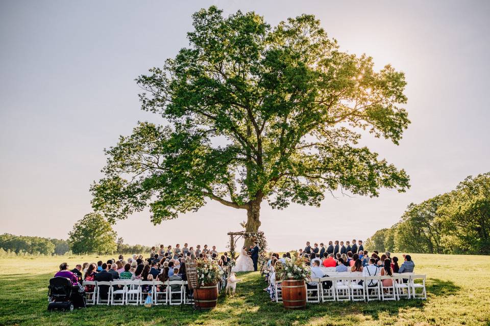 Jordan +Whit, Highlight Film @ Summerfield Farms, Summerfield NC