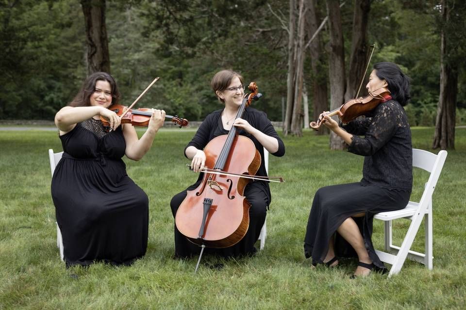 String Trio at The Wadsworth