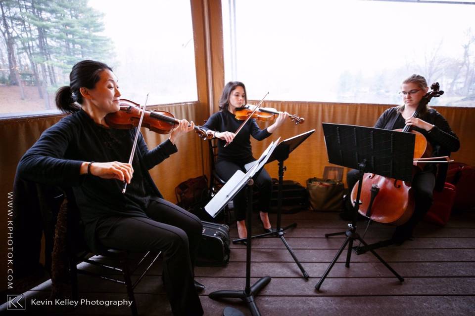 String trio at The Pavilion