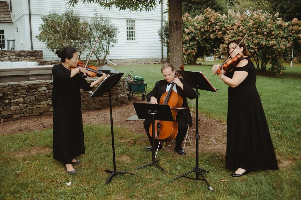String trio performing