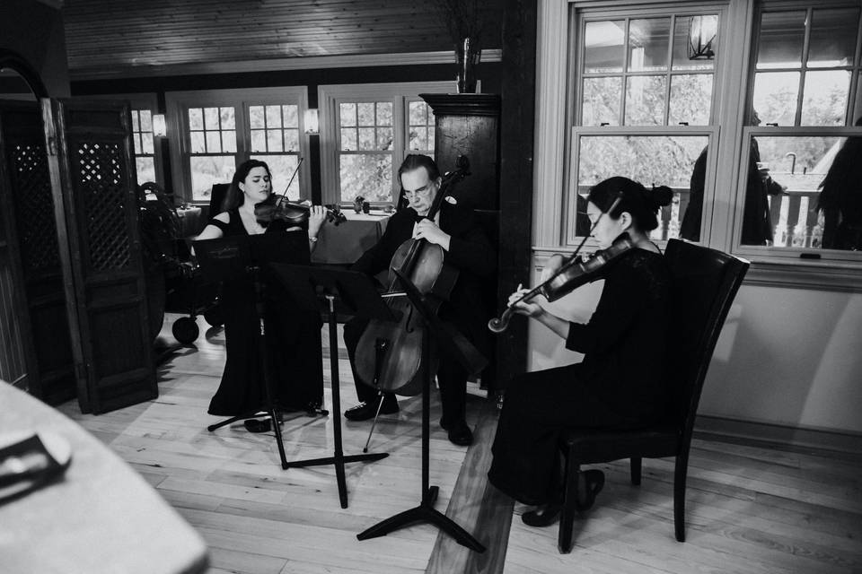 String trio at The Winvian