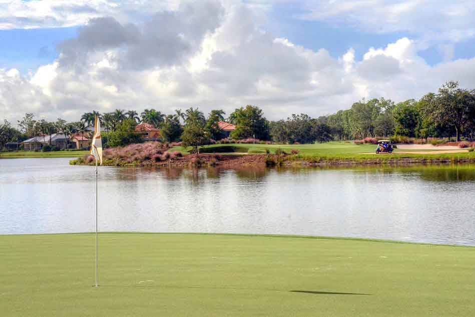 Tiburón Golf Club