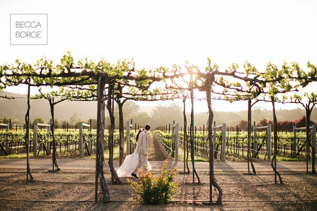 Winery wedding