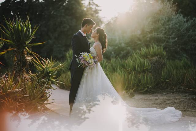 Jamie Lee Photography