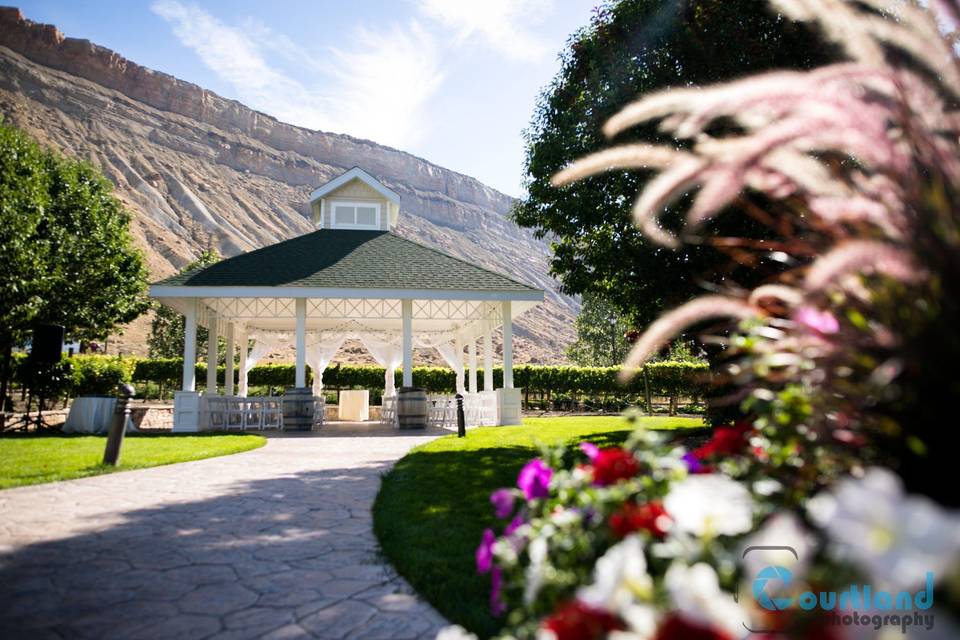 Ceremony View