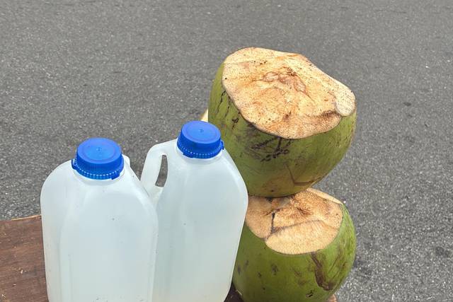 Manny's Coconuts