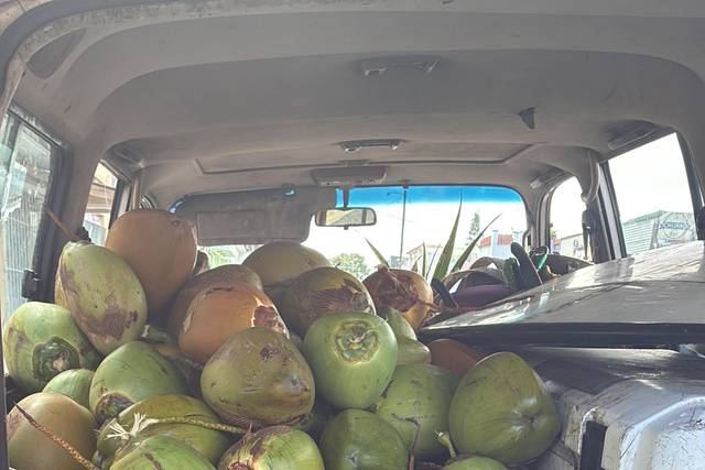 Manny's Coconuts