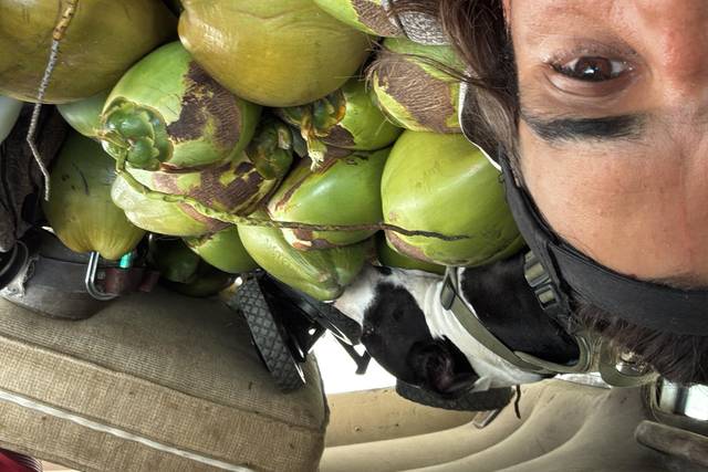 Manny's Coconuts