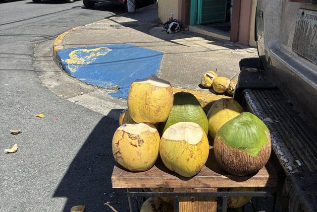Mannys Coconuts