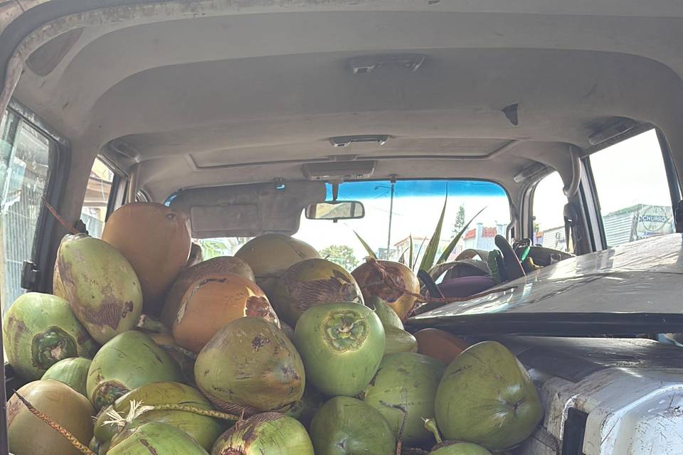 Manny's Coconuts