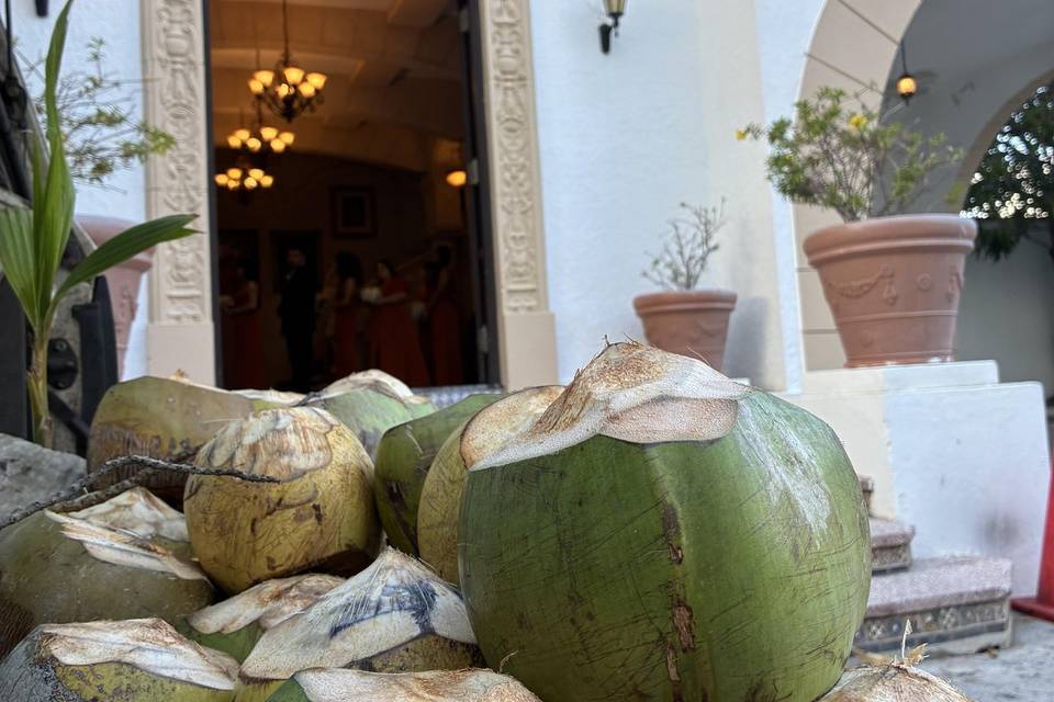 Manny's Coconuts